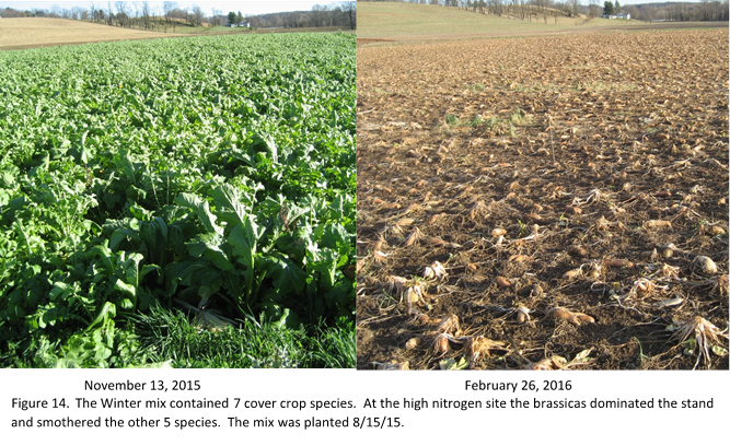 virginia-no-till-3